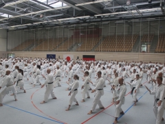 IMG_7989 Kata Training