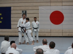 IMG_8030 Hirayama