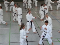 G2013_Kumitetraining unter H. Yamamoto