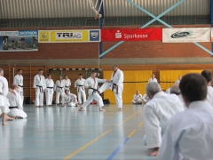 IMG_9073 (2)