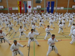 Gasshuku 2019 in Tamm