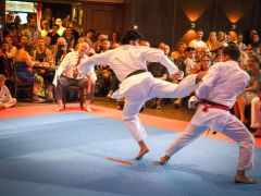 KAR_Karate-Lehrgang-2026-043