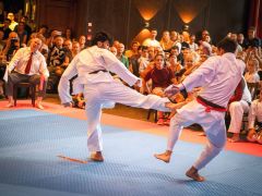 KAR_Karate-Lehrgang-2026-044