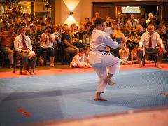 KAR_Karate-Lehrgang-2026-064