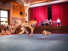 KAR_Karate-Lehrgang-2026-077