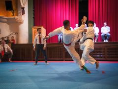 KAR_Karate-Lehrgang-2026-095