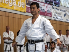 KS15 Akita2