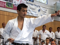 KS15 Akita3
