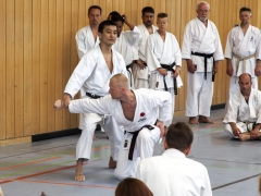 KS15 Akita4