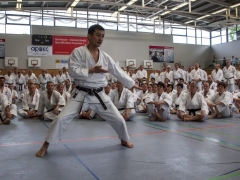 KS15 Akita6