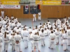 KS15 Akita9