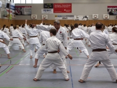 KS15 Fischer9