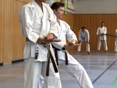 KS15 Omura6